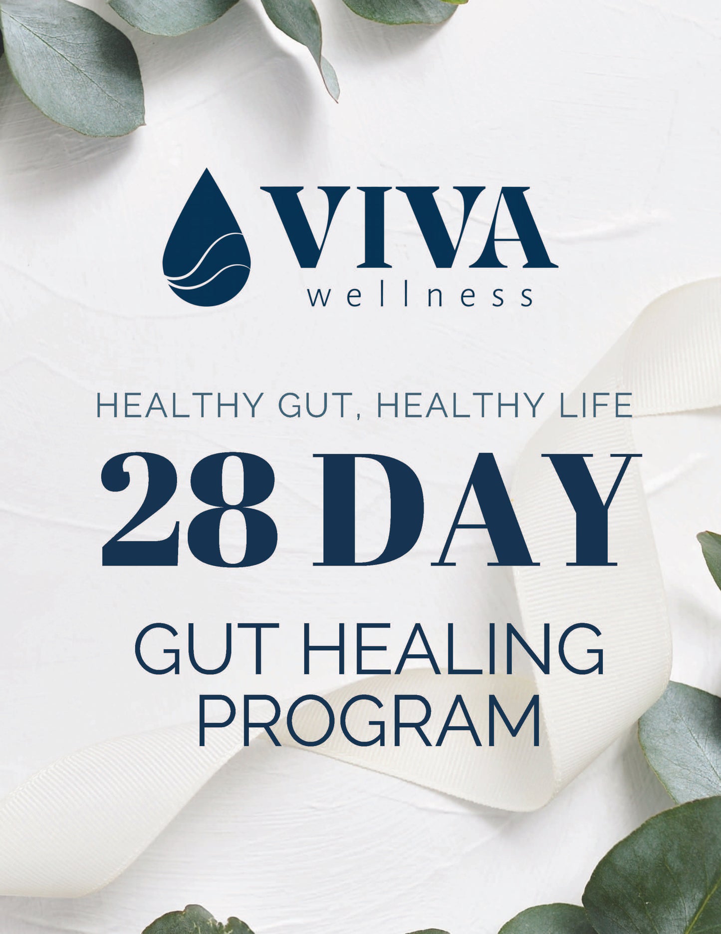 28 Day Gut Healing Program