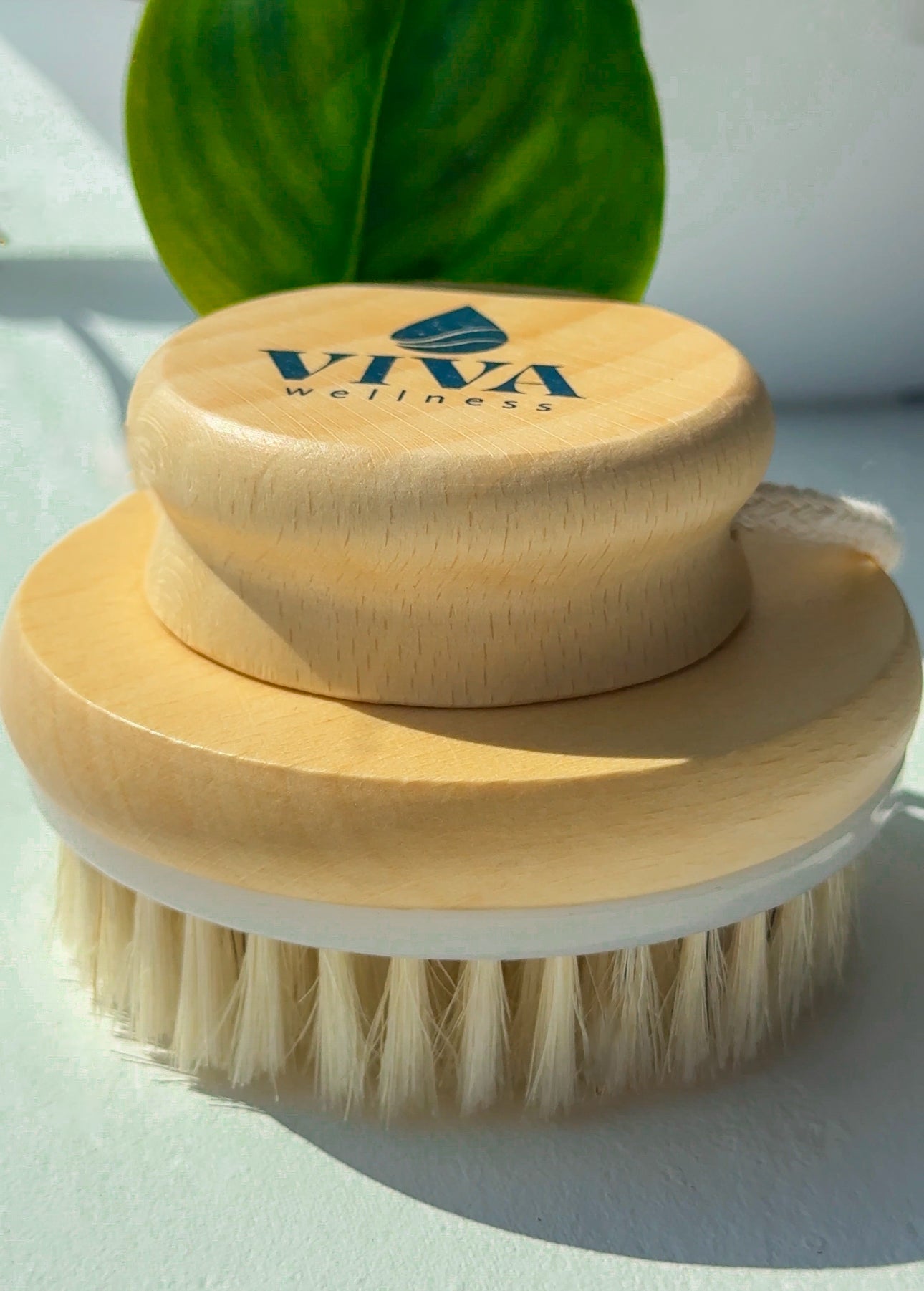 VIVA Dry Brush