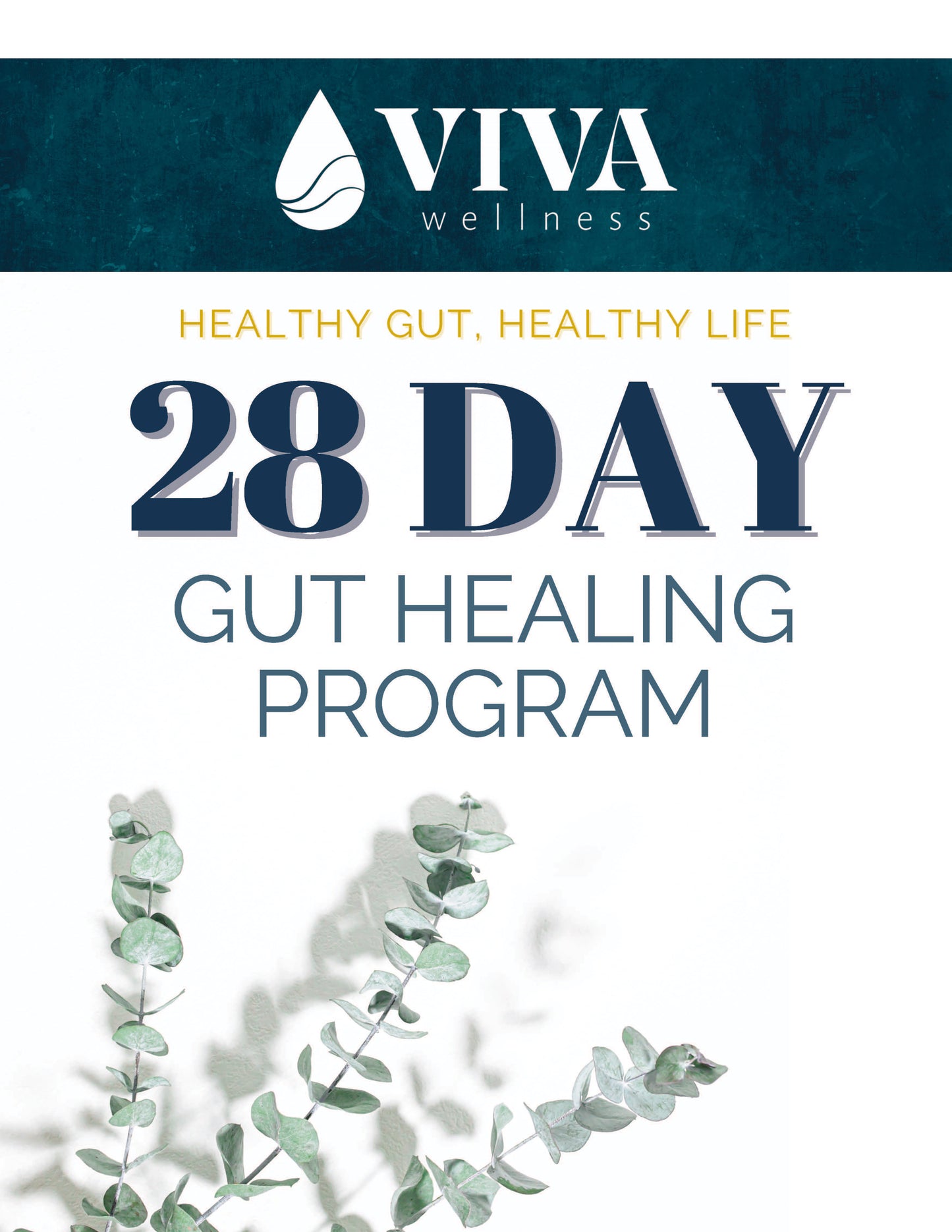 4-Week Gut Healing Program